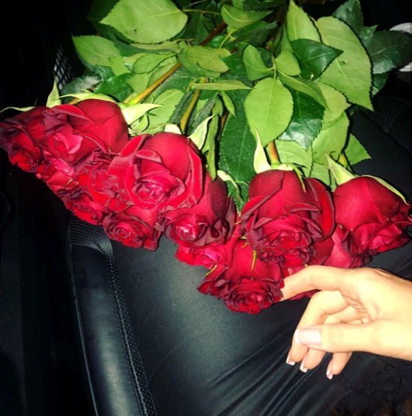 Девушка и красная роза