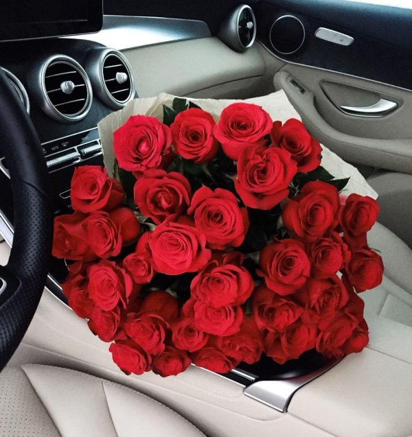 Девушка и красная роза