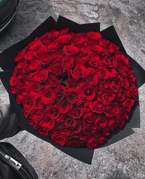 Девушка и красная роза