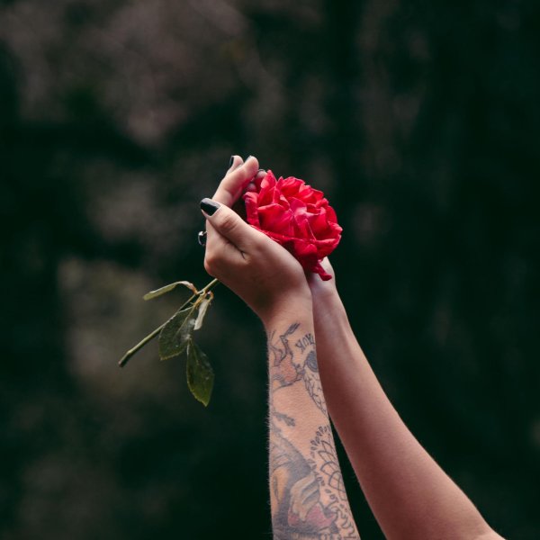 Девушка и красная роза