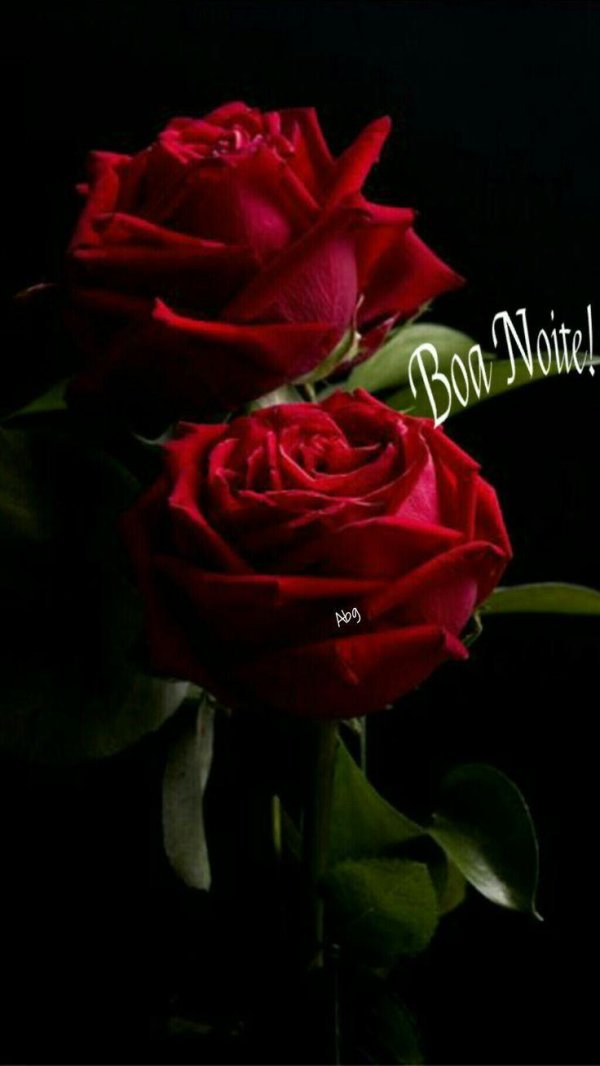 Девушка и красная роза