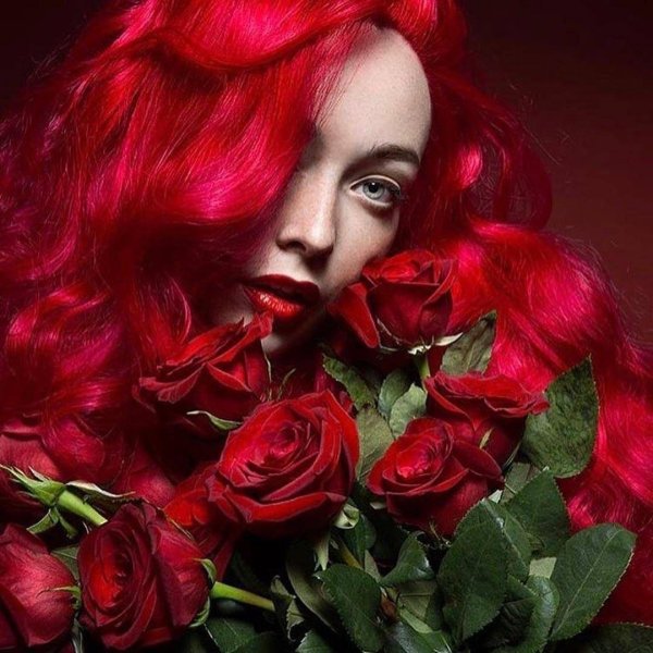 Девушка и красная роза