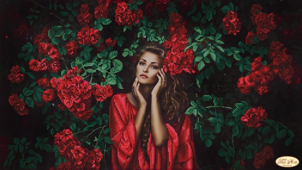 Девушка и красная роза