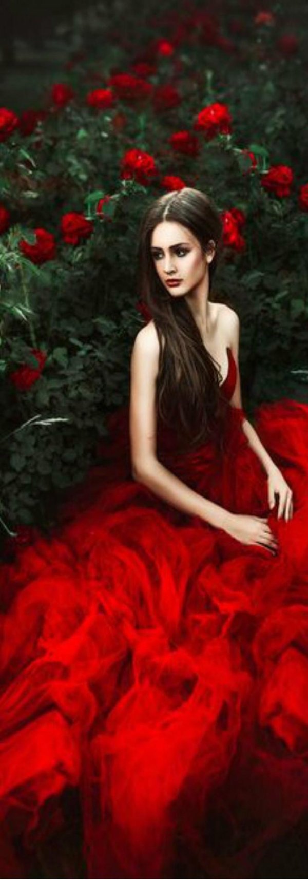 Девушка и красная роза