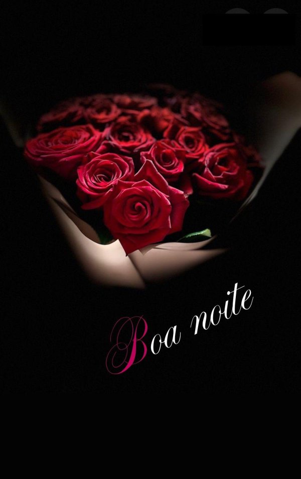 Девушка и красная роза