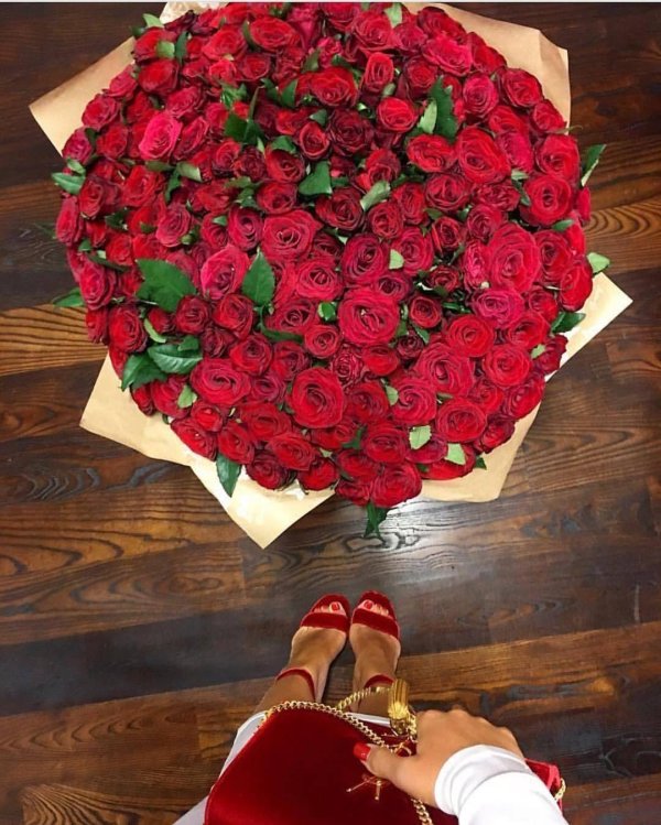 Девушка и красная роза