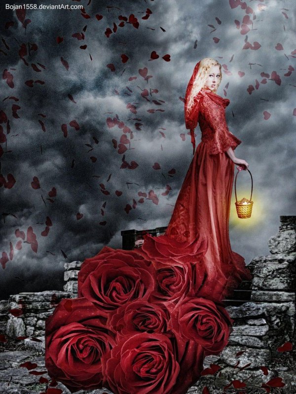 Девушка и красная роза