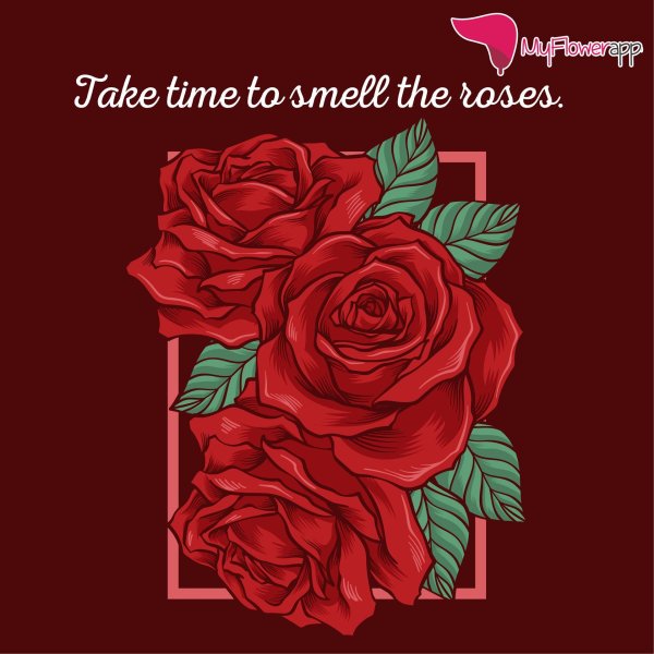 Девушка и красная роза