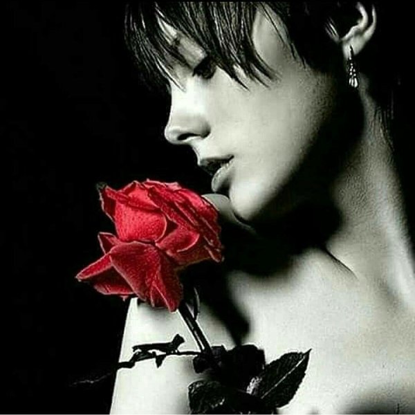 Девушка и красная роза