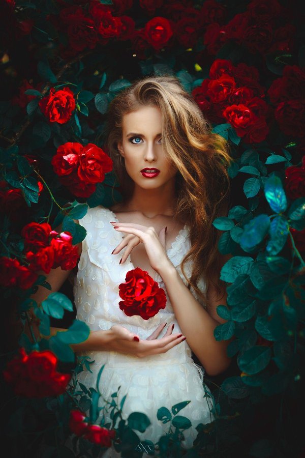 Девушка и красная роза