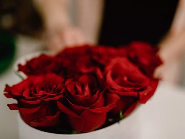 Девушка и красная роза