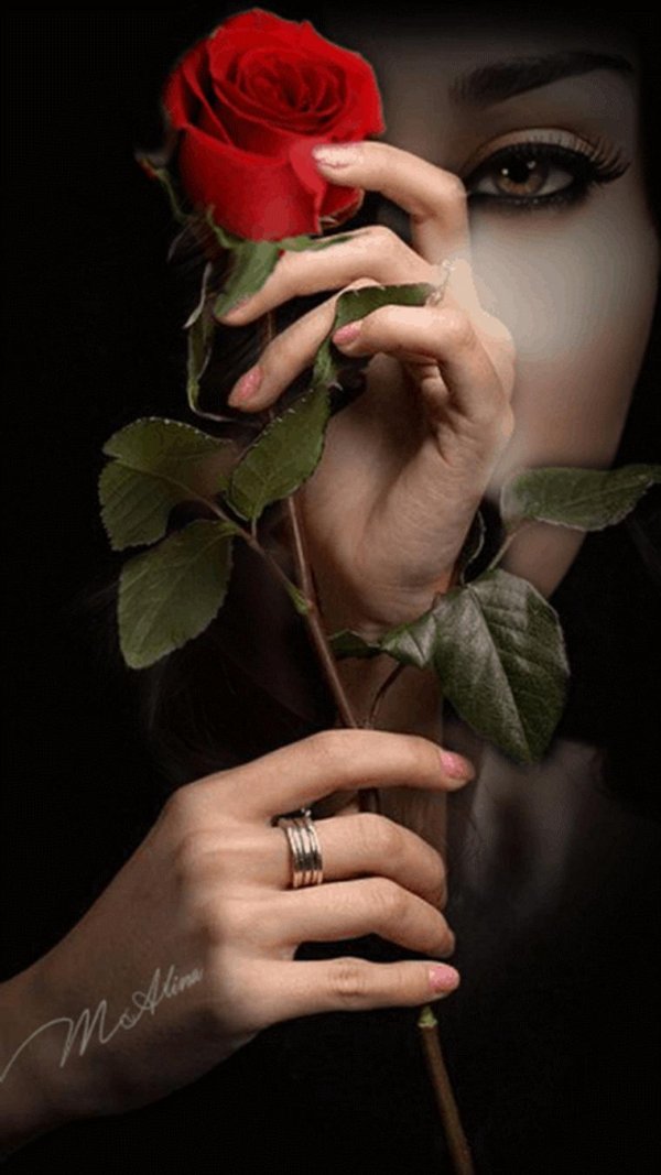 Девушка и красная роза