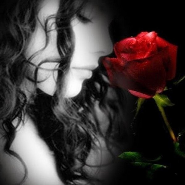 Девушка и красная роза