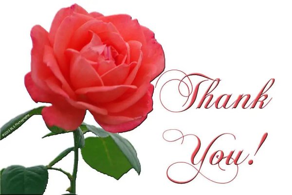 Ты девушка на английском