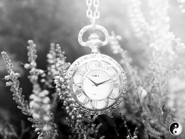 pocket watch