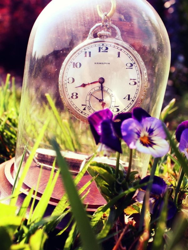 красивое время