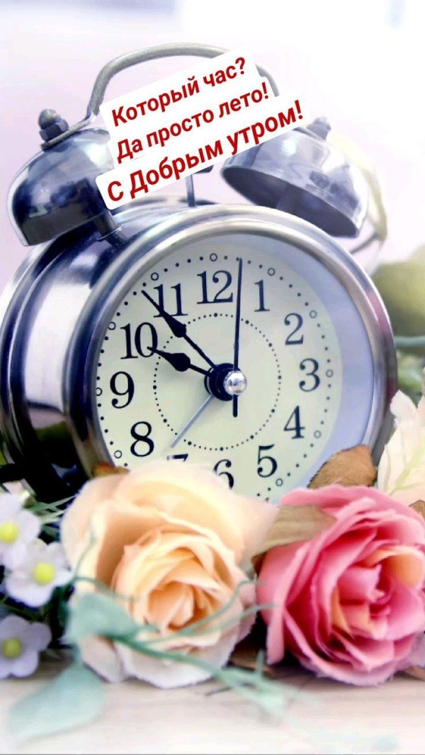 доброе утро солнышко