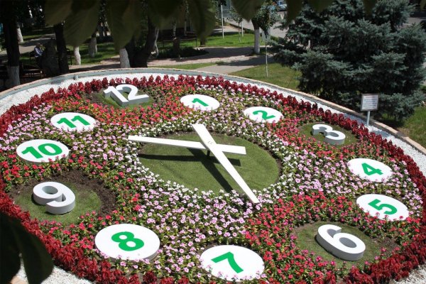 цветочные часы краснодар