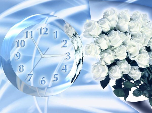 открытка с белыми розами