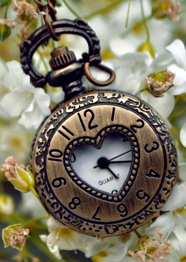 pocket watch