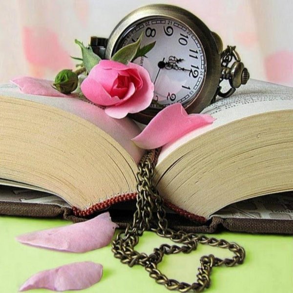 книга и цветы