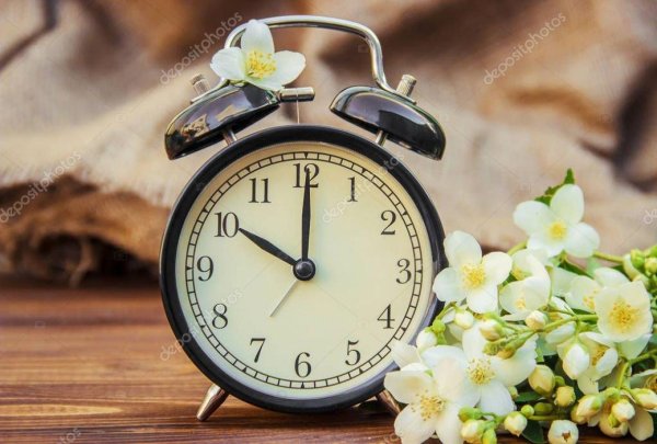 весенний будильник