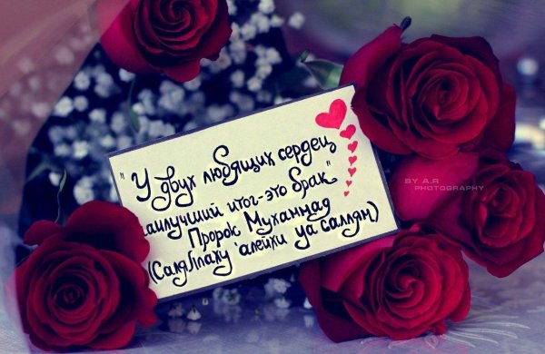 Со смыслом мусульманские девушка