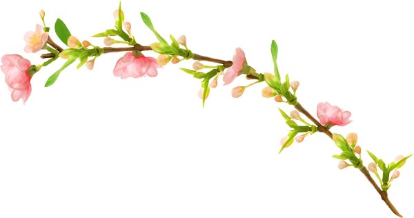 весенние веточки