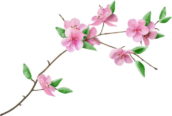 веточка цветов