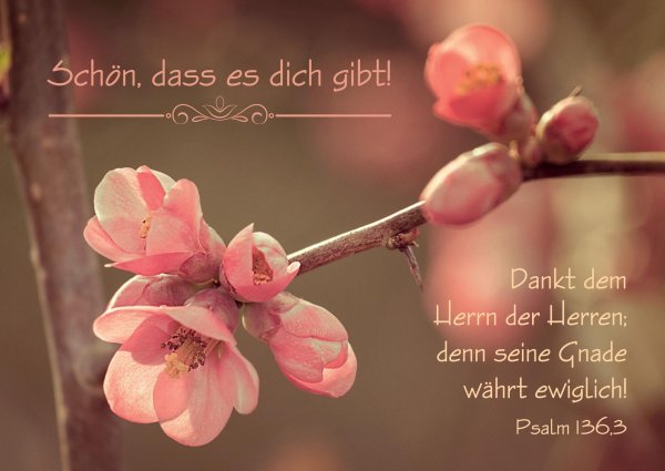 schön daß es dich gibt