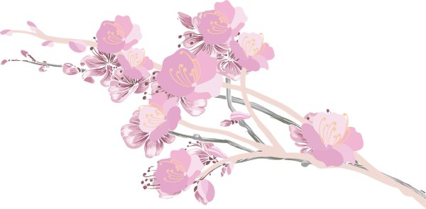 сакура веточка