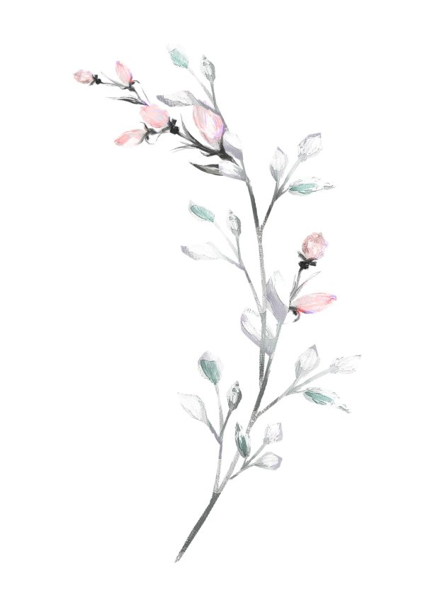 акварельные веточки