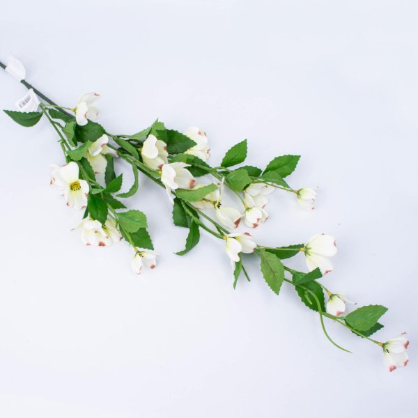 веточка цветов