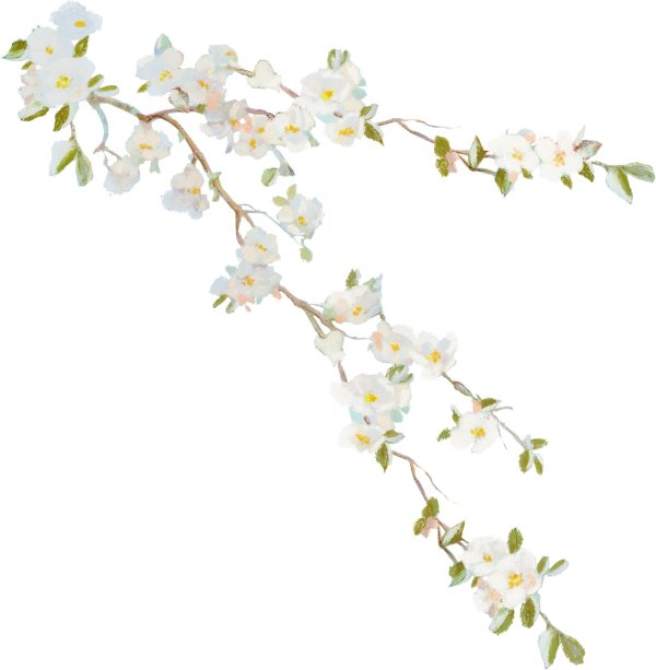 красивая веточка