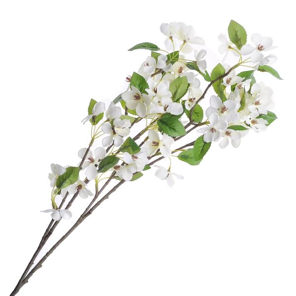 веточка цветов