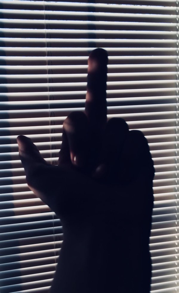 С факом и девушками