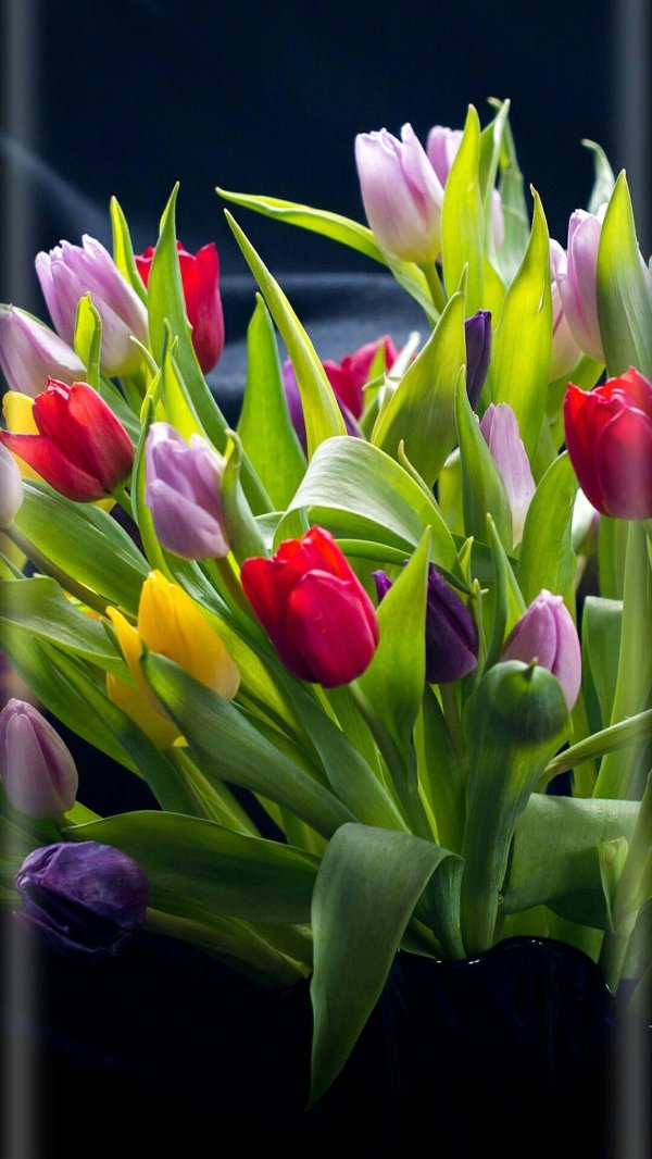 красивые букеты тюльпанов