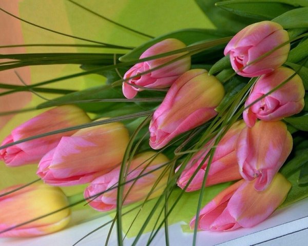 красивые открытки с тюльпанами