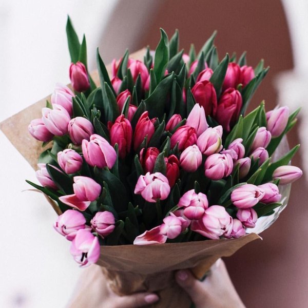 тюльпан букетный