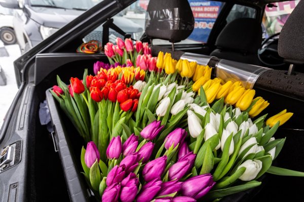 цветок на 8 марта