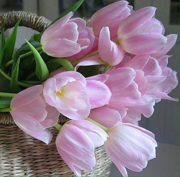 корзина с тюльпанами