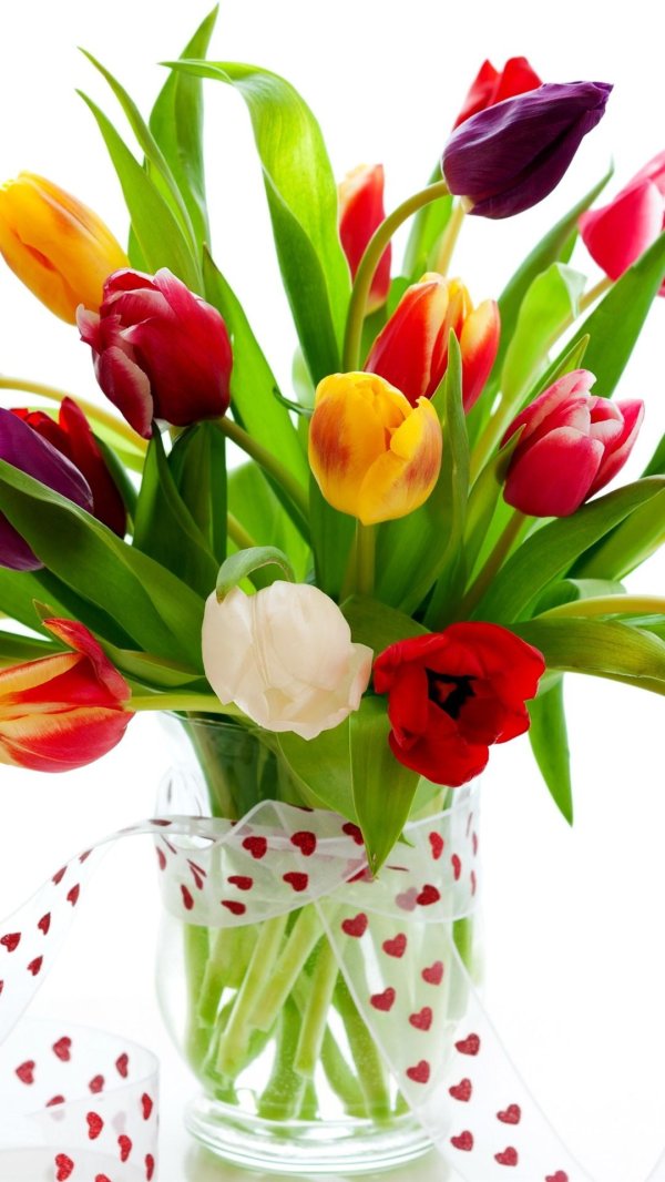 открытки с тюльпанами красивые