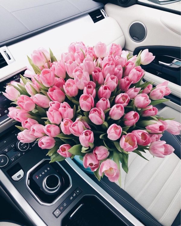 шикарный букет тюльпанов