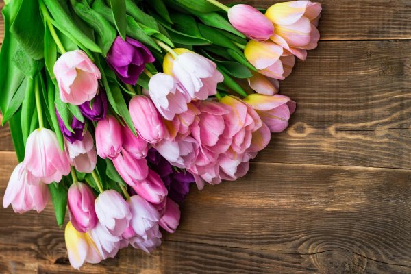 фон с тюльпанами