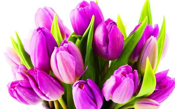 с 8 марта праздник