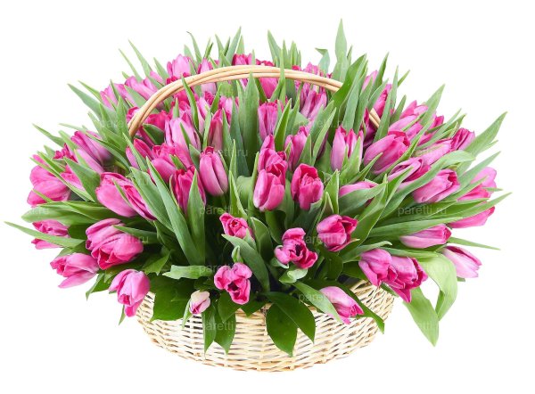 корзина из тюльпанов