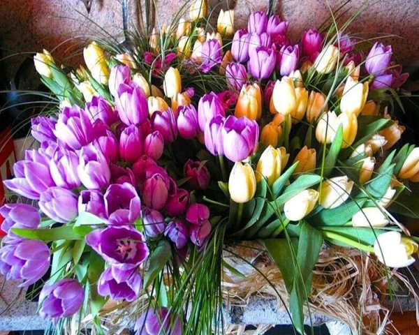 красивые букеты тюльпанов