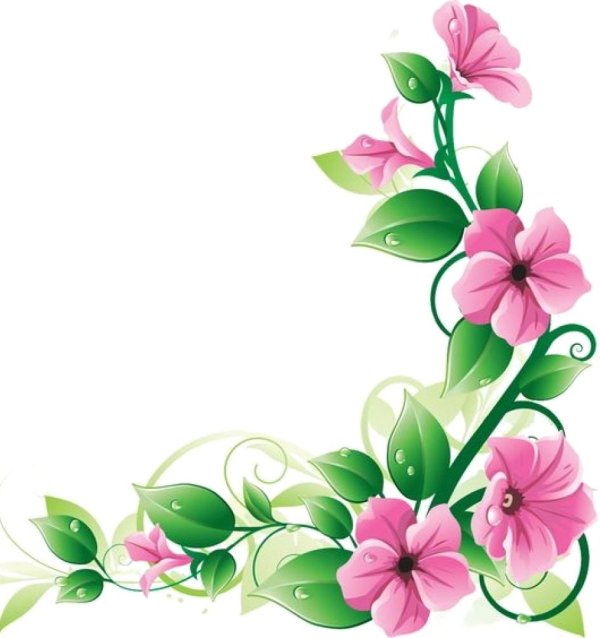 цветы угловые