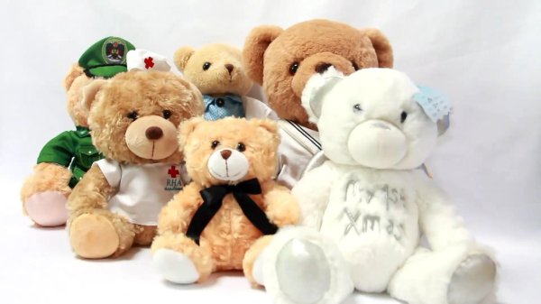 Девушка с мягкой игрушкой