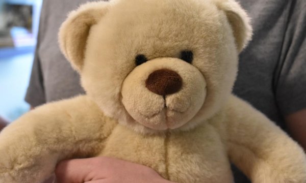 Девушка с мягкой игрушкой